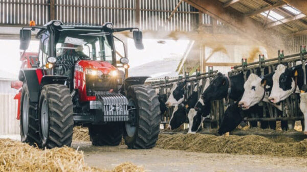 Tractor agricol MF 5700 M la lucru în câmp oferind eficiență simplificată